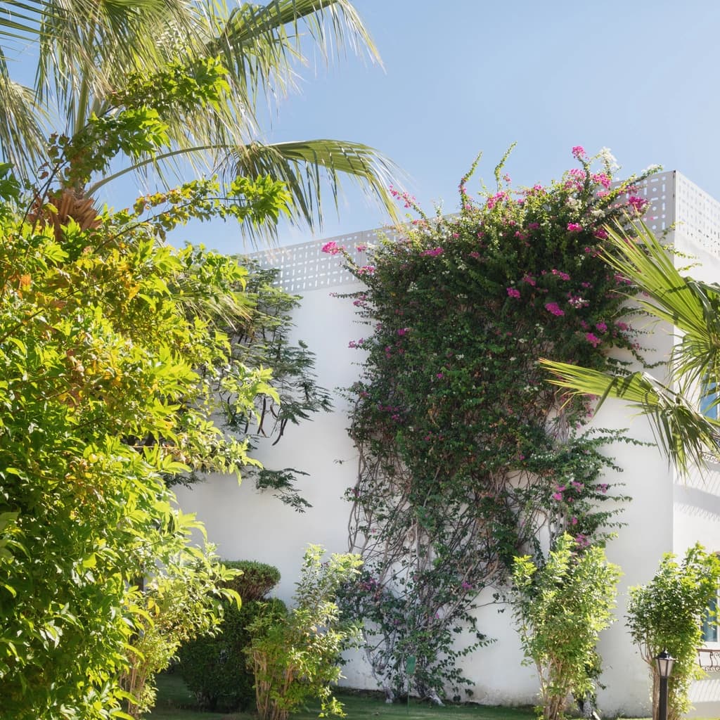 Modern villa in Dubai